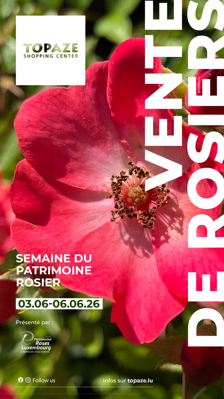 Image mise en avant de l'article