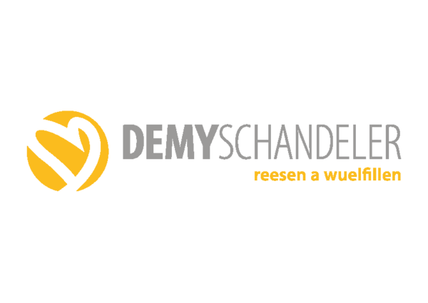 Demy Schandeler Logo